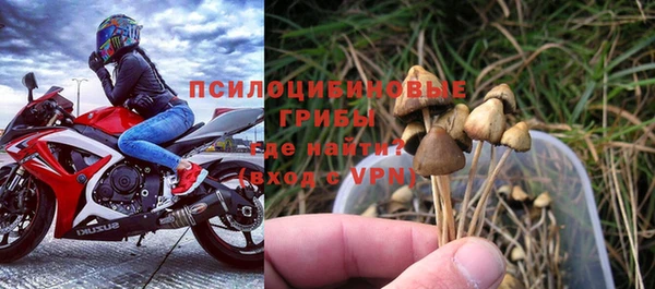 ALPHA PVP Алексеевка