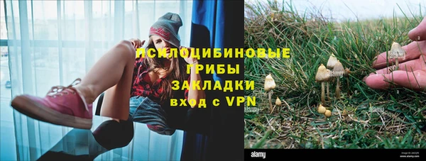 ALPHA PVP Алексеевка