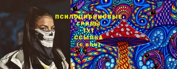 ПСИЛОЦИБИНОВЫЕ ГРИБЫ Алзамай